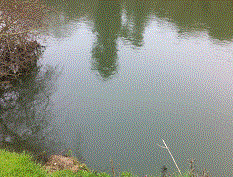 PEG 53 Pictures